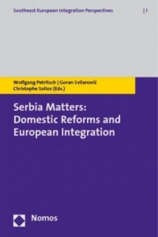 Könyv Serbia Matters: Domestic Reforms and European Integration Wolfgang Petritsch