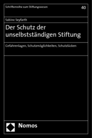 Kniha Der Schutz der unselbstständigen Stiftung Sabine Seyfarth