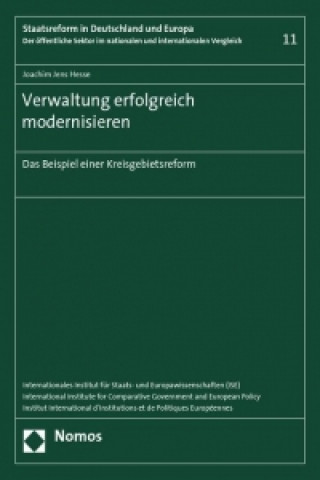 Buch Verwaltung erfolgreich modernisieren Joachim Jens Hesse