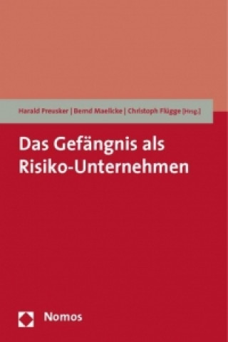 Kniha Das Gefängnis als Risiko-Unternehmen Christoph Flügge