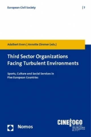 Kniha Third Sector Organizations Facing Turbulent Environments Adalbert Evers