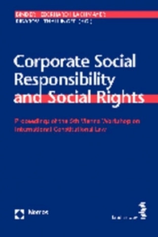 Kniha Corporate Social Responsibility and Social Rights Christina Binder