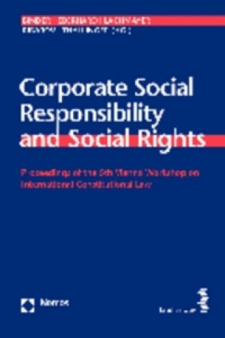 Knjiga Corporate Social Responsibility and Social Rights Christina Binder