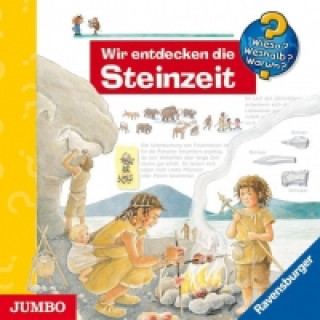 Audio Wir entdecken die Steinzeit. CD Doris Rübel