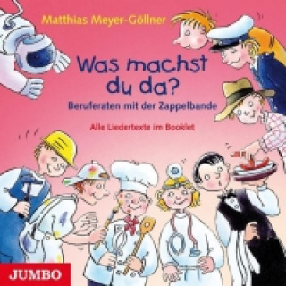 Audio Was machst du da? Berufe raten mit der Zappelbande Matthias Meyer-Göllner