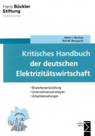Kniha Kritisches Handbuch der deutschen Elektrizitätswirtschaft Heinz J. Bontrup