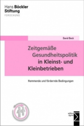 Kniha Zeitgemäße Gesundheitspolitik in Kleinst- und Kleinbetrieben David Beck