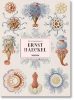 Carte Art and Science of Ernst Haeckel Rainer Willman