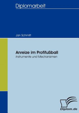 Kniha Anreize im Profifussball Jan Schmitt