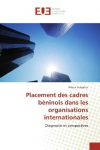 Book Placement des cadres béninois dans les organisations internationales Wilson Gakpétor