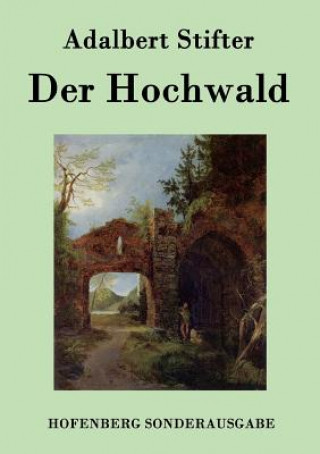 Kniha Hochwald Adalbert Stifter