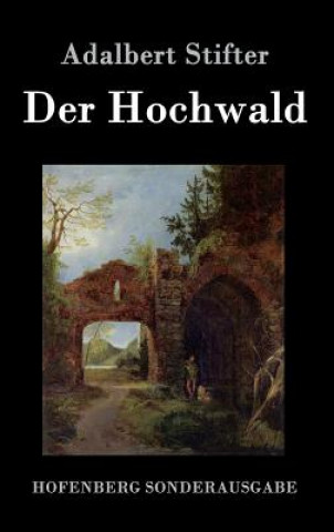 Kniha Hochwald Adalbert Stifter