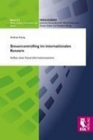 Kniha Steuercontrolling im internationalen Konzern Andrea Kamp
