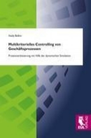Kniha Multikriterielles Controlling von Geschäftsprozessen Vasily Belkin