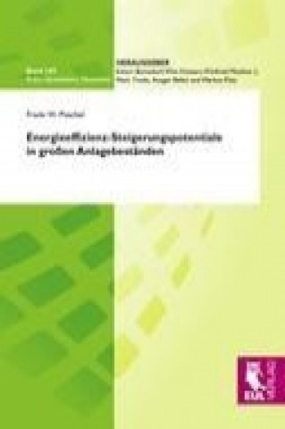 Könyv Energieeffizienz-Steigerungspotentiale in großen Anlagebeständen Frank W. Püschel
