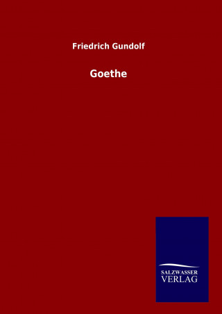 Kniha Goethe Friedrich Gundolf
