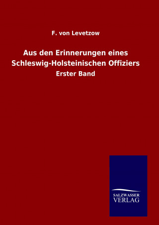 Book Aus den Erinnerungen eines Schleswig-Holsteinischen Offiziers F. von Levetzow