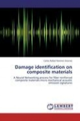 Книга Damage identification on composite materials Carlos Rafael Ramirez Jimenez