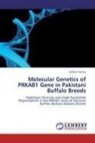 Kniha Molecular Genetics of PRKAB1 Gene in Pakistani Buffalo Breeds Ambrin Fatima