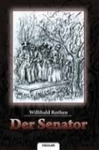 Book Der Senator Willibald Rothen