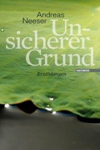 Buch Unsicherer Grund Andreas Neeser