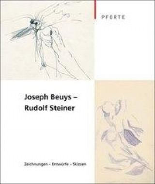 Książka Joseph Beuys - Rudolf Steiner Wolfgang Zumdick