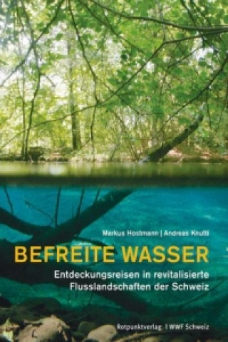 Kniha Befreite Wasser Markus Hostmann