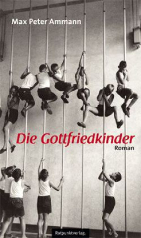Könyv Die Gottfriedkinder Max Peter Ammann