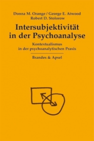 Livre Intersubjektivität in der Psychoanalyse Donna M Orange