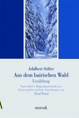 Könyv Aus dem bairischen Walde Adalbert Stifter