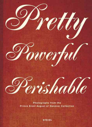 Könyv Beauty, Power, Vanity Bodo von Dewitz