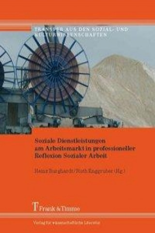 Kniha Soziale Dienstleistungen am Arbeitsmarkt in professioneller Reflexion Sozialer Arbeit Heinz Burghardt