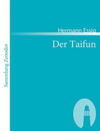 Könyv Taifun Hermann Essig