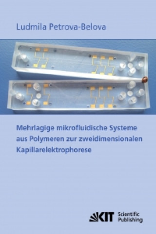 Kniha Mehrlagige mikrofluidische Systeme aus Polymeren zur zweidimensionalen Kapillarelektrophorese Ludmila Petrova-Belova