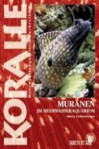 Kniha Muränen im Meerwasseraquarium Marco Lichtenberger