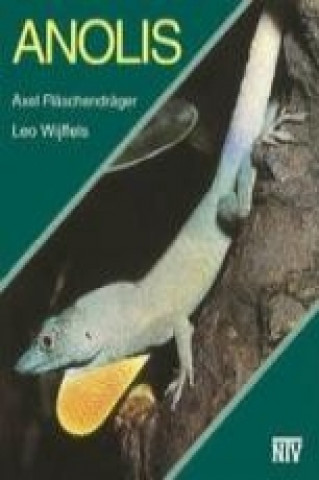 Buch Anolis Axel Flaschendräger