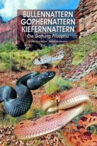 Kniha Bullennattern und Kiefernnattern Bernd Skubowius