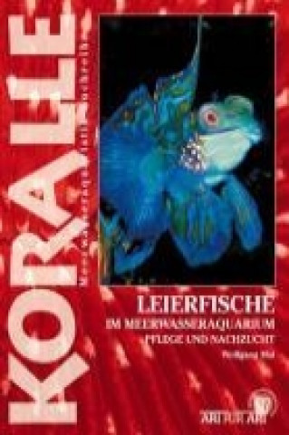 Könyv Art für Art: Leierfische Wolfgang Mai