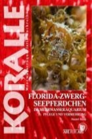 Carte Art für Art 14. Florida-Zwergseepferdchen Daniel Knop