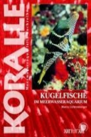 Kniha Art für Art 16. Kugelfische Marco Lichtenberger