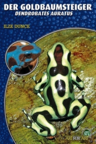 Livro Der Goldbaumsteiger Ilze Dunce