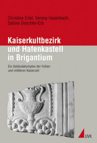 Carte Kaiserkultbezirk und Hafenkastell in Brigantium Verena Hasenbach