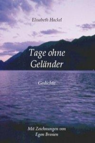 Kniha Tage ohne Geländer Elisabeth Hackel