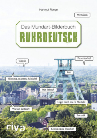 Livre Pott - Das Mundart-Bilderbuch Hartmut Ronge