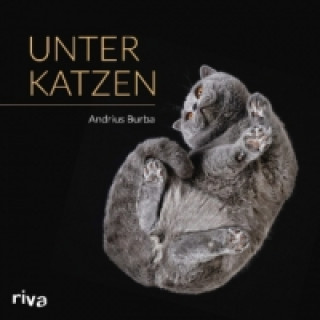 Kniha Unter Katzen Andrius Burba