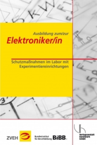 Książka Ausbildung zum/zur Elektroniker/in Bd. 2 - Schutzmaßnahmen im Labor mit Experimentiereinrichtungen Uwe Dunkhase
