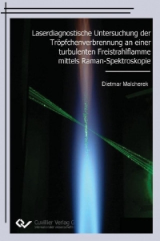 Carte Laserdiagnostische Untersuchung der Tröpfchenverbrennung an einer turbulenten Freistrahlflamme mittels Raman-Spektroskopie Dietmar Malcherek
