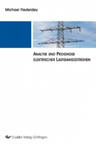 Kniha Analyse und Prognose elektrischer Lastgangzeitreihen Michael Fiedeldey