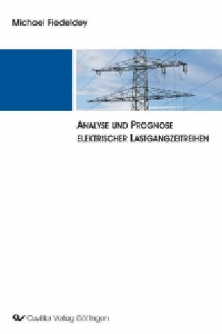 Book Analyse und Prognose elektrischer Lastgangzeitreihen Michael Fiedeldey