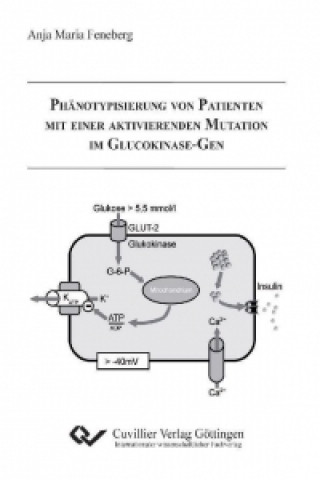 Carte Phänotypisierung von Patienten mit einer aktivierenden Mutation im Glucokinase-Gen Anja Feneberg
